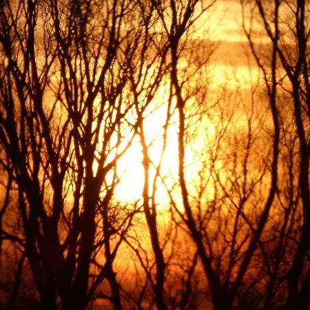 An Der Flut 269 Wilhelmshaven