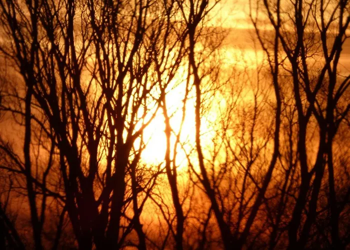 An Der Flut 269 Wilhelmshaven